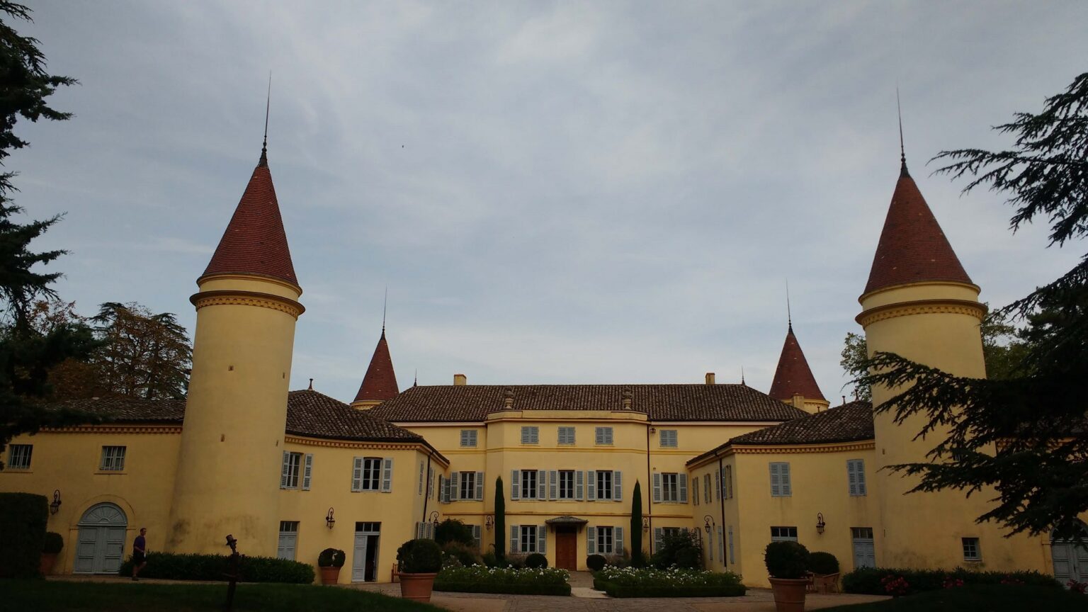 Grape Picking Jobs In France Personal Experience in 2023!