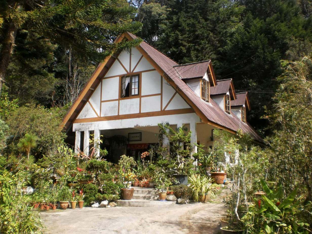 27 Unique Places To Visit in Cameron Highlands Women Wandering Beyond