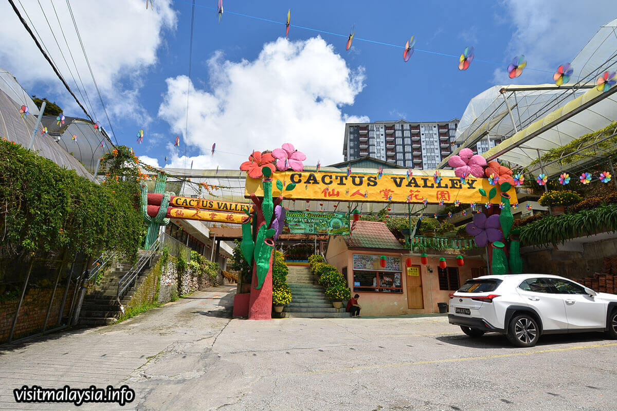 27 Unique Places To Visit in Cameron Highlands Women Wandering Beyond
