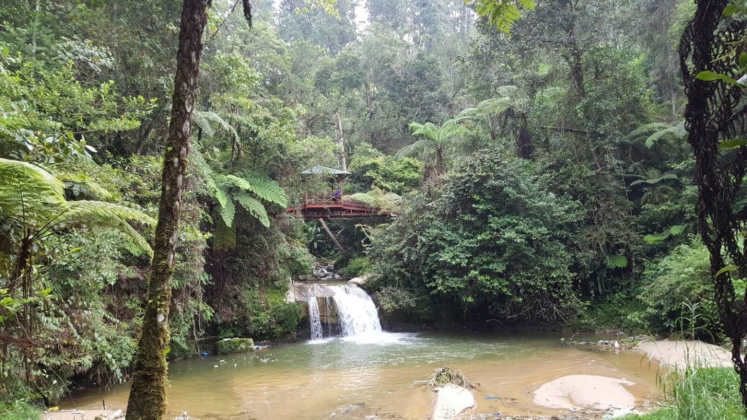 27 Unique Places To Visit in Cameron Highlands WWB