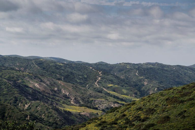 21 Dog Friendly Hikes Orange County 2022 WWB