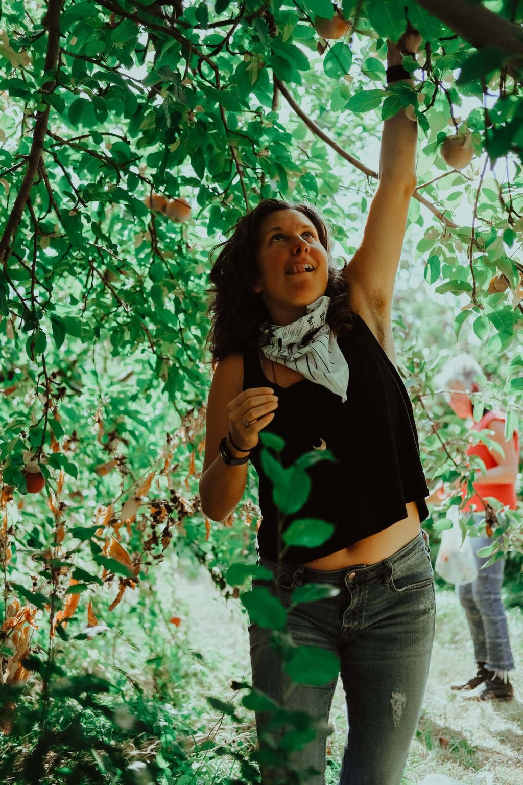 Best Countries For Fruit Picking Jobs