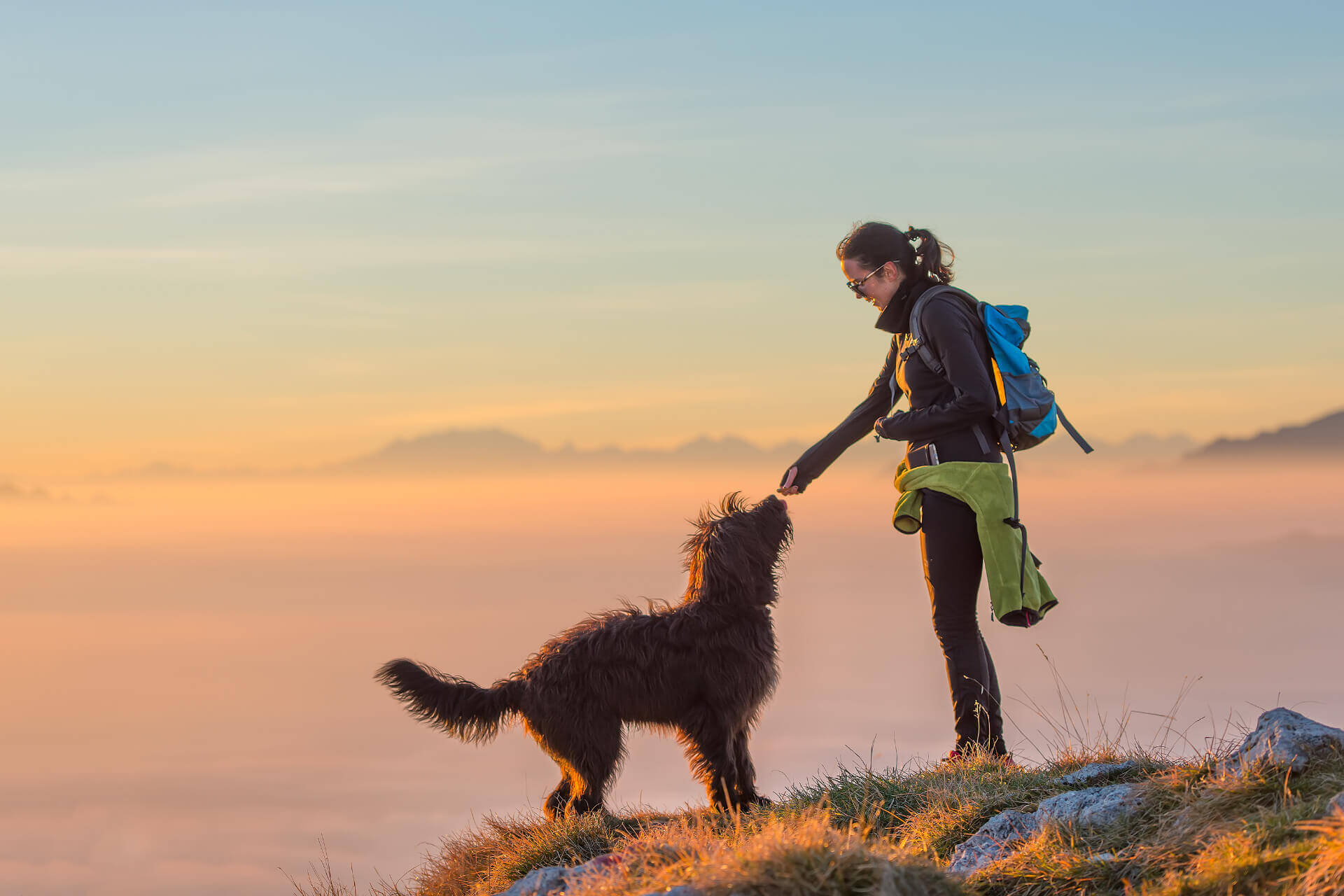 21 Dog Friendly Hikes in Perth In 2023 WWB