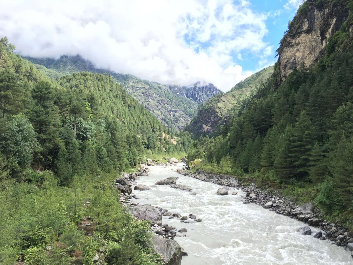 Are Timberlands Good For Walking?[Personal Experience] 2024