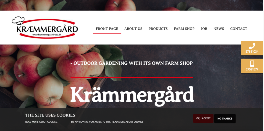 Fruit Picking Jobs Denmark Farms Hiring + What You Earn! [2024]